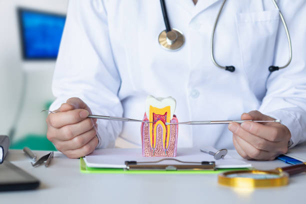 Best Same-Day Emergency Dentist in Holland, TX
